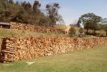 SDC12863.jpg